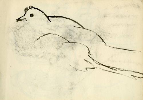 Dove (recto), Male Figure sketch (verso) (Sketchbook - Morocco)