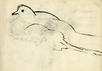 Dove (recto), Male Figure sketch (verso) (Sketchbook - Morocco)