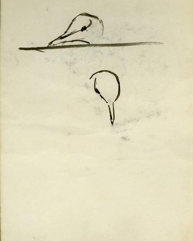 Bird (recto), Barber (verso) (Sketchbook - Morocco)