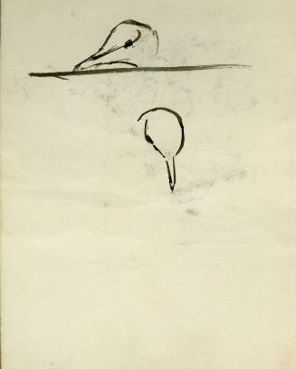 Bird (recto), Barber (verso) (Sketchbook - Morocco)