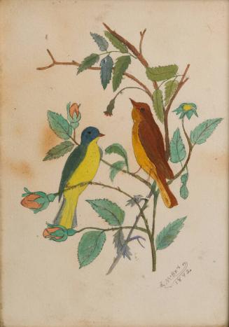 Two Finches and Briar-Rose