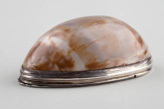 Silver Mounted Cowrie Shell Snuff Mull by Alexander Forbes