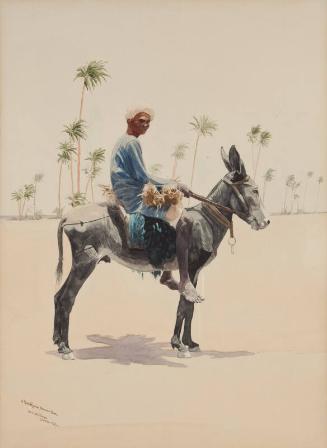 A Khartoum Donkey Boy
