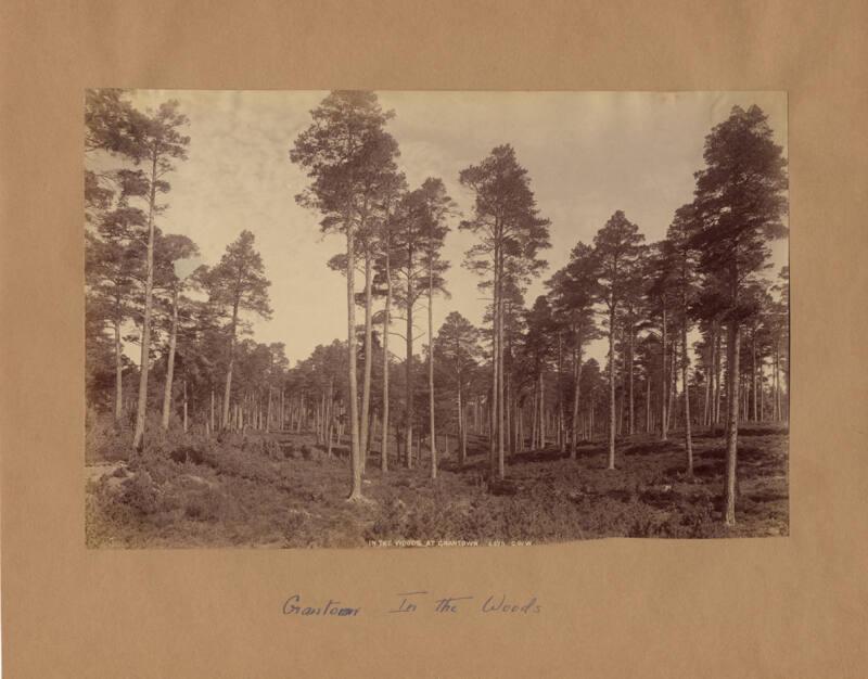 Woods At Grantown