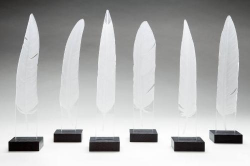 Feathers by Alison Kinnaird