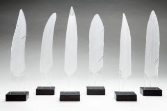 Feathers by Alison Kinnaird