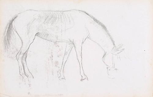 Horse (Sketchbook - War)