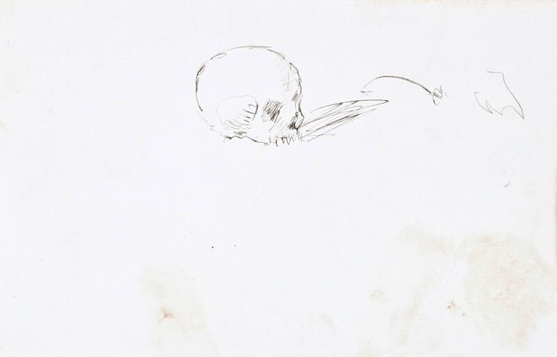 recto: Skull, verso: sketch (Sketchbook - War)