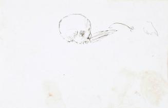 recto: Skull, verso: sketch (Sketchbook - War)
