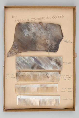 Boxed Specimen Card of Process Samples for Horn Combs