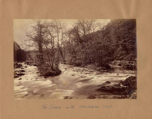 Wharfebolton Woods