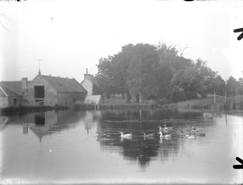 Mill Pond 
