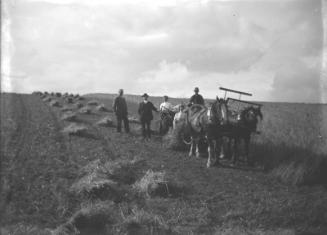 Group with Horse Drawn Reaper and Binder