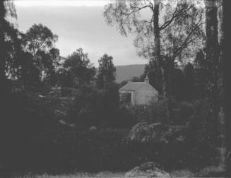 View of Rear of House 