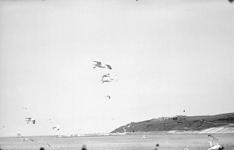 Damaged South Breakwater Pier and Torry Battery