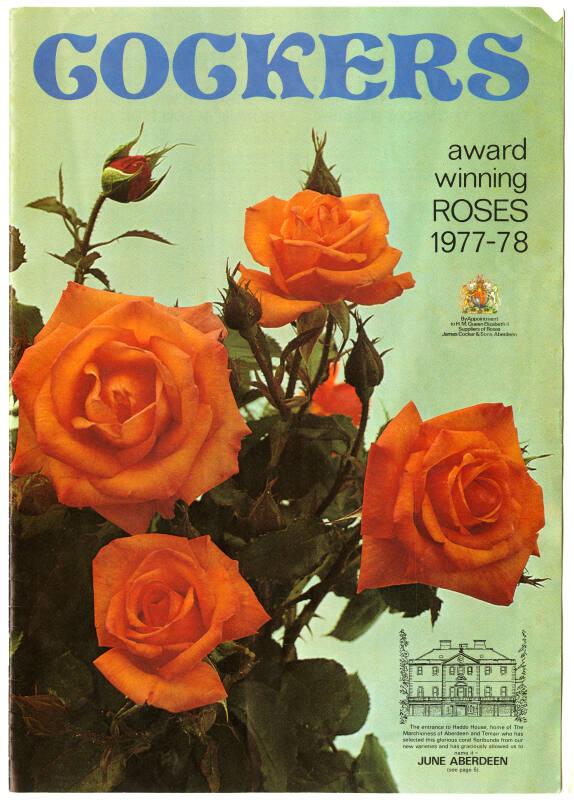 Cockers Award Winning Roses