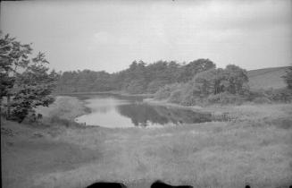 Water and Woodland