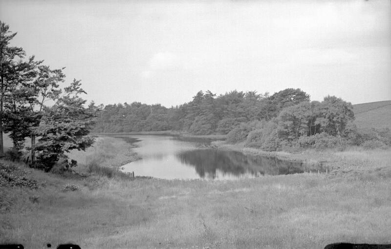 Water and Woodland