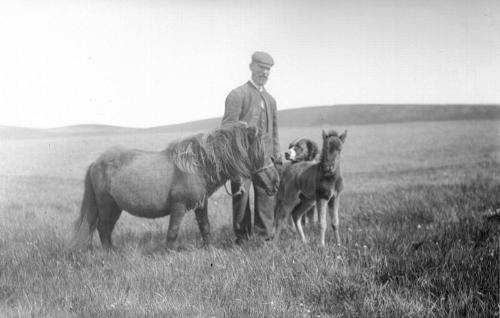 Man with Pony and Foal