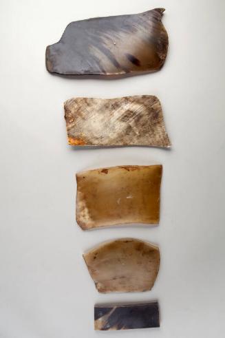 Pressed Plates Of Horn (5)