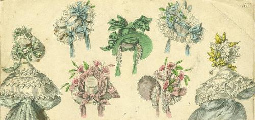 Coloured Fashion Plate