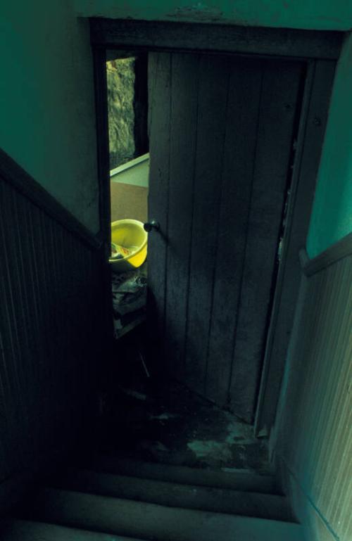 Tenement Lobby Cupboard, Back Door, Raeburn Place