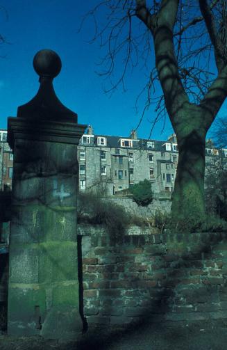 Backs of Houses, Northfield Place, Viewed from Mackie Place