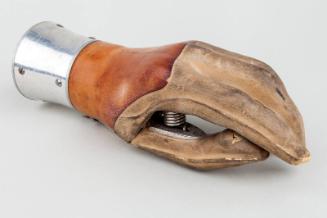 Prosthetic Left Hand