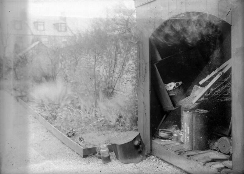 Back Garden With Shed
