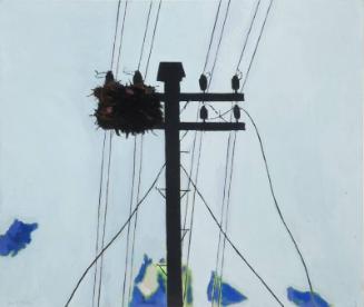 Crow's Nest and Blue Patches by David Michie