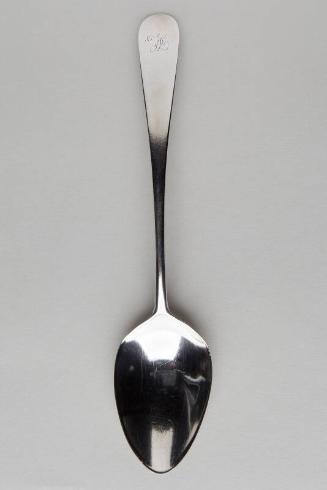Two Dessert Spoons