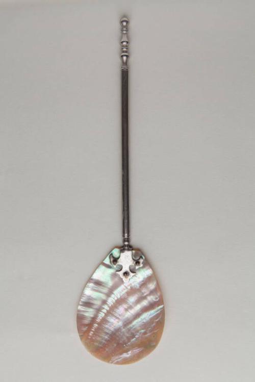 Mother of Pearl and Metal Spoon