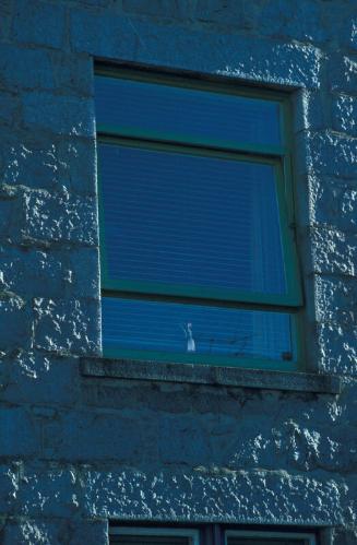 Window, Bank Street, Woodside