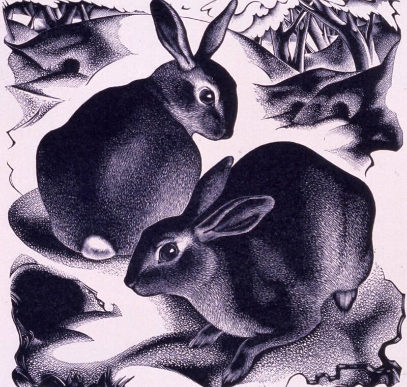 Two Rabbits