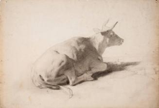Study of a Cow for "A Scotch Fair" by John Phillip