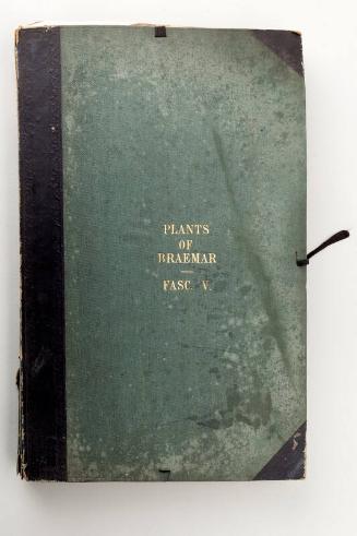 Plants Of Braemar