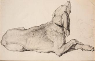 Study of a Labrador by John Phillip