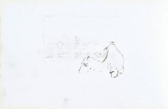 Camel (Sketchbook - War)