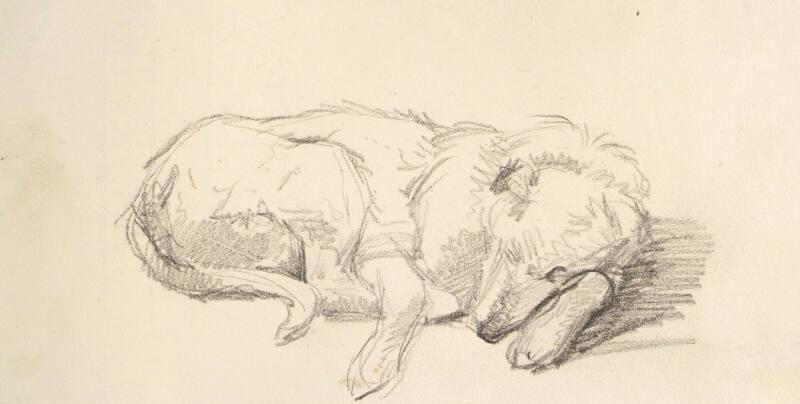 Study of Dog Sleeping