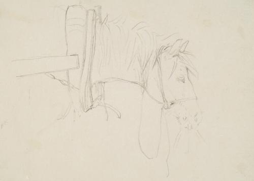A Horse in Harness