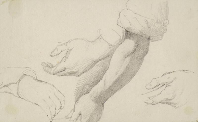 Studies of an Arm and Hands