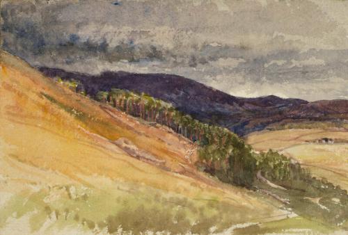 Landscape - Trees on a Hillside