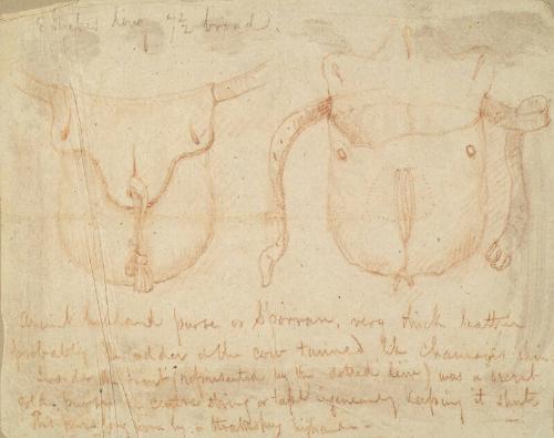 Detailed Drawing of a Sporran