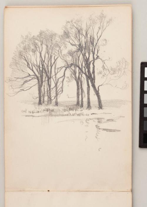 recto: Trees - Leaf from Artist's Sketchbook