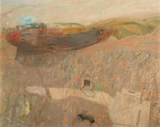 Bird's Eye View of a Beach