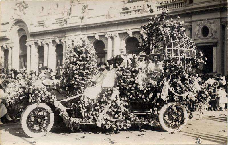 Unknown flower festival 