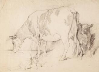 Cow and Calf - Study for "A Scotch Fair"