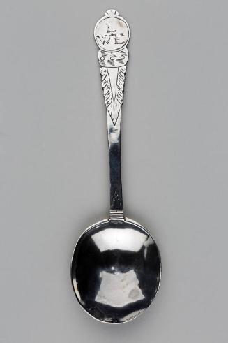 Disk End Spoon