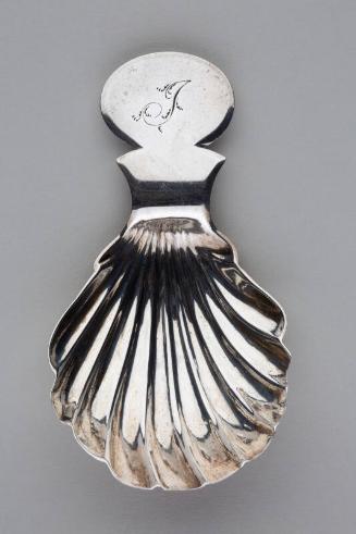 Scalloped Caddy Spoon