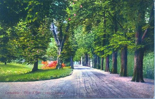 Cernobbio - Lake Como 